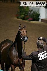 usn_05_16586 proof