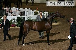 usn_05_16588 proof