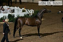 usn_05_16589 proof