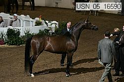 usn_05_16590 proof
