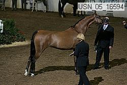 usn_05_16594 proof