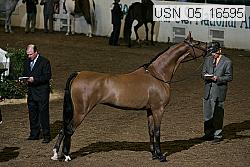 usn_05_16595 proof