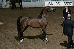 usn_05_16597 proof