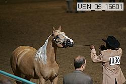 usn_05_16601 proof