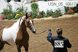 usn_05_16617 proof