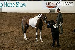 usn_05_16625 proof
