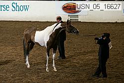 usn_05_16627 proof