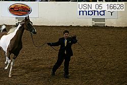 usn_05_16628 proof