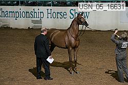 usn_05_16631 proof