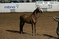 usn_05_16633 proof