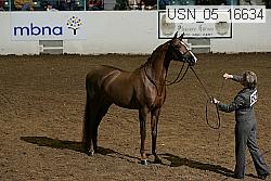 usn_05_16634 proof