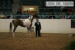 usn_05_16699 proof