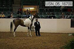 usn_05_16700 proof
