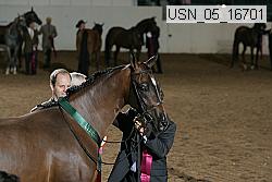 usn_05_16701 proof