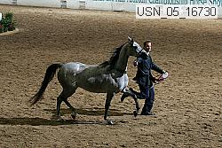 usn_05_16730 proof