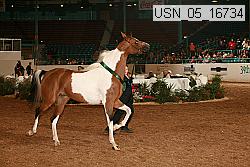 usn_05_16734 proof