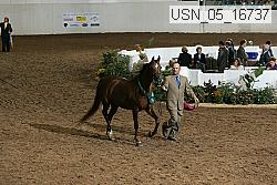 usn_05_16737 proof