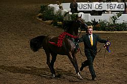 usn_05_16740 proof