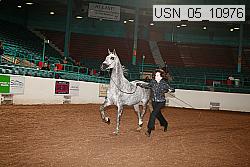 usn_05_10976 proof