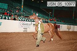 usn_05_10977 proof
