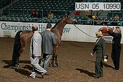 usn_05_10990 proof