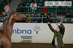 usn_05_11006 proof