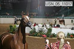 usn_05_11017 proof