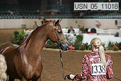 usn_05_11018 proof