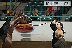 usn_05_11031 proof