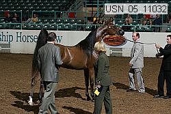usn_05_11032 proof