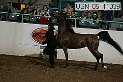 usn_05_11039 proof