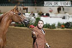 usn_05_11041 proof