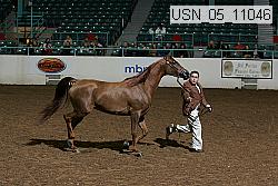 usn_05_11046 proof