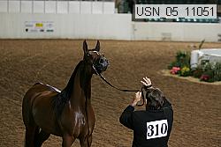 usn_05_11051 proof