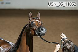 usn_05_11052 proof