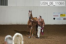 usn_05_11065 proof