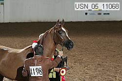 usn_05_11068 proof