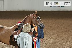 usn_05_11072 proof