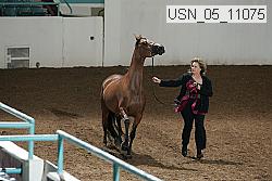 usn_05_11075 proof