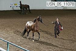 usn_05_11078 proof