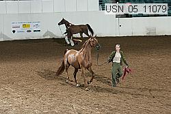 usn_05_11079 proof