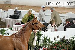 usn_05_11080 proof