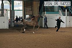 usn_05_14722 proof