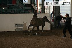 usn_05_14723 proof