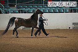 usn_05_14724 proof