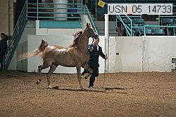 usn_05_14733 proof
