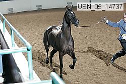 usn_05_14737 proof