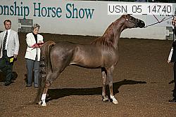 usn_05_14740 proof