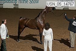 usn_05_14767 proof