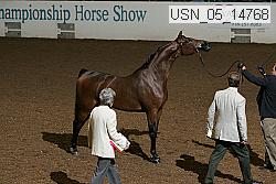 usn_05_14768 proof